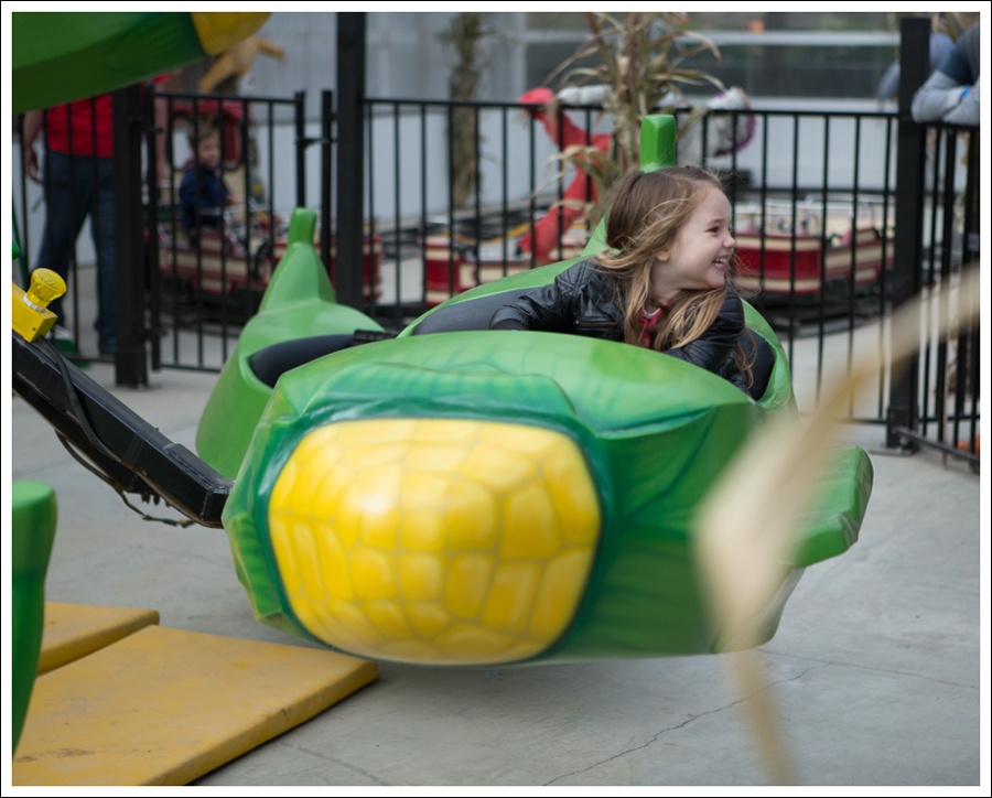 Blog Remilinger Farm Fall Festival-3