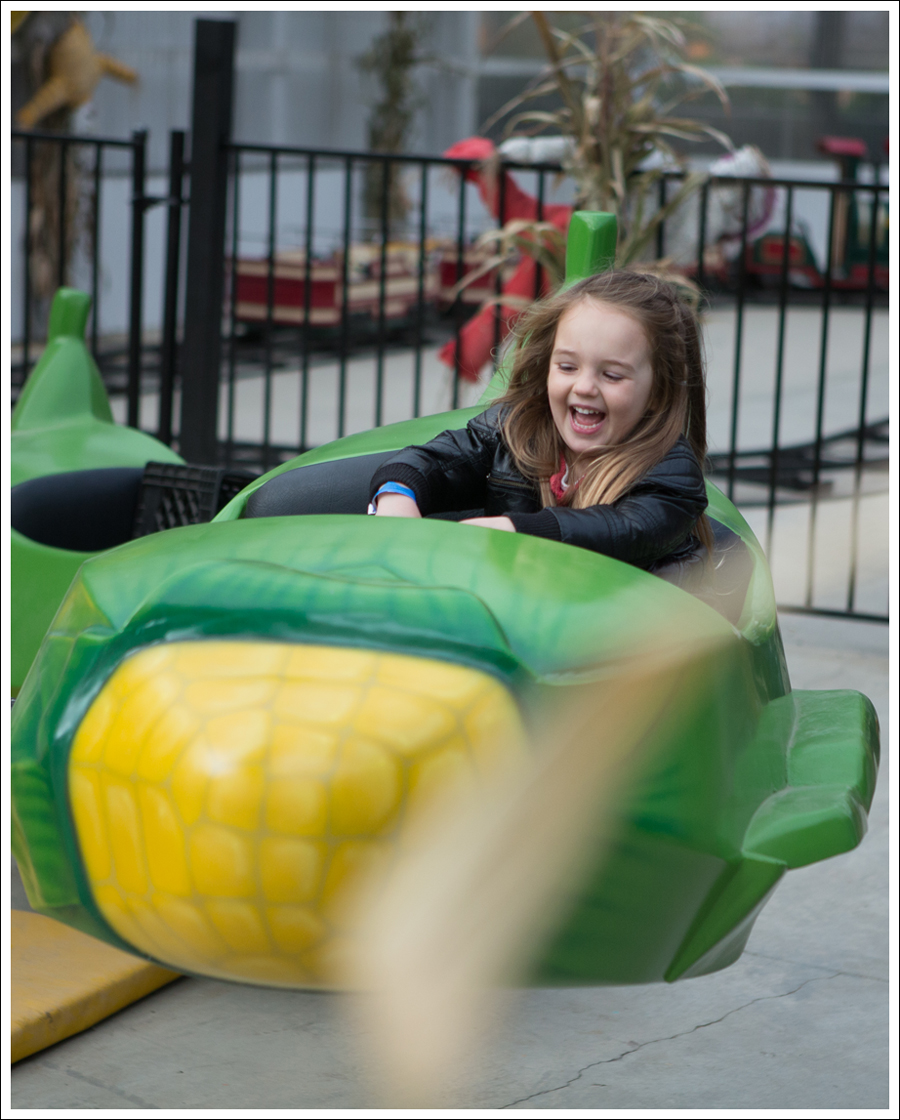 Blog Remilinger Farm Fall Festival-5