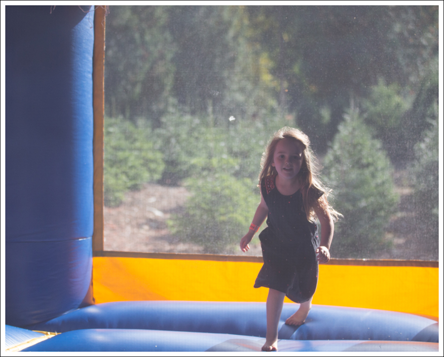 Blog Trinity Pumpkin Patch-13