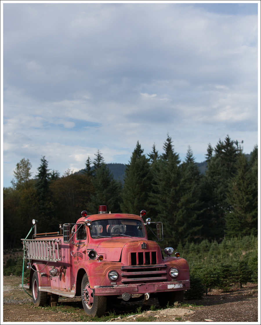 Blog Trinity Pumpkin Patch-15