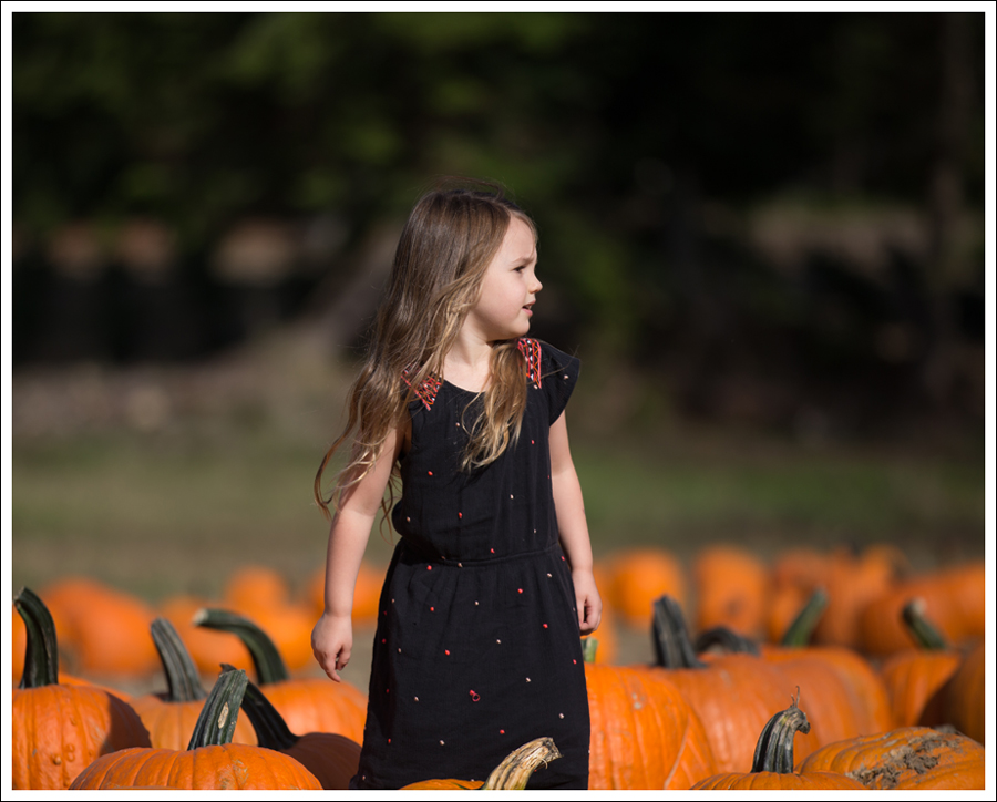 Blog Trinity Pumpkin Patch-2