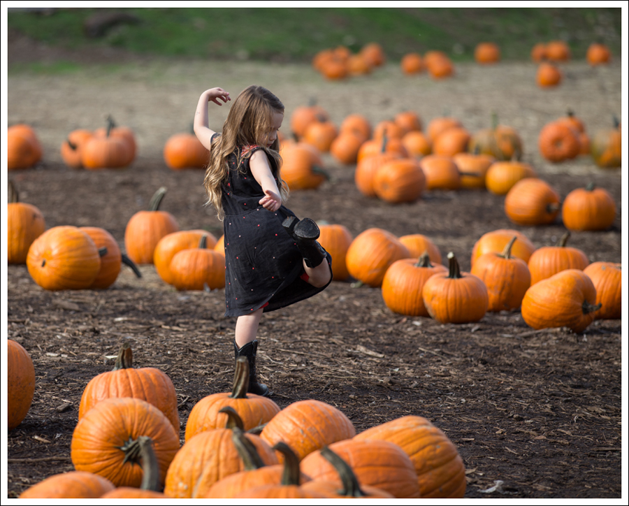 Blog Trinity Pumpkin Patch-4