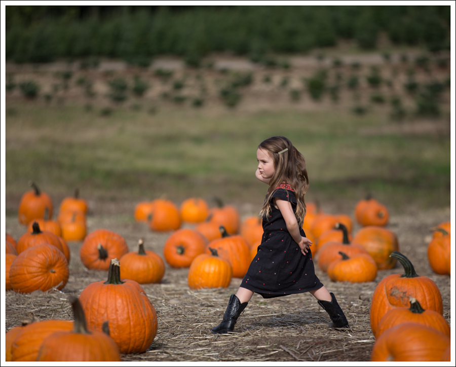 Blog Trinity Pumpkin Patch-5