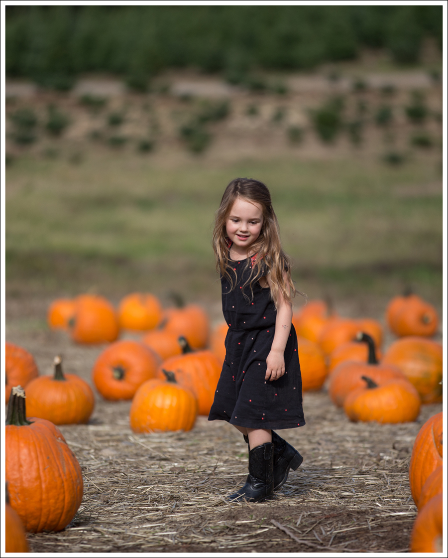 Blog Trinity Pumpkin Patch-6