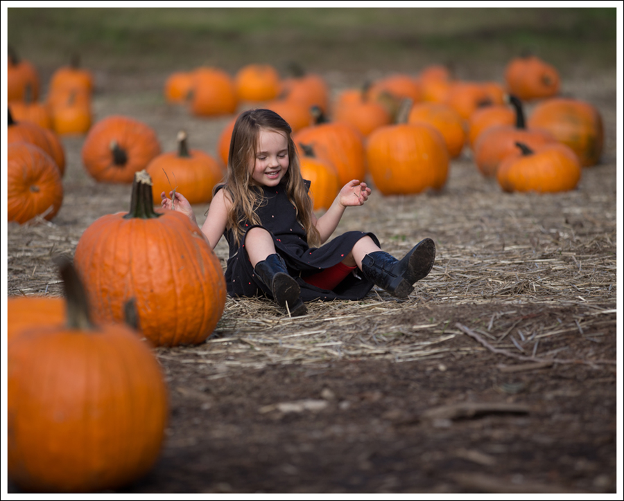 Blog Trinity Pumpkin Patch-7