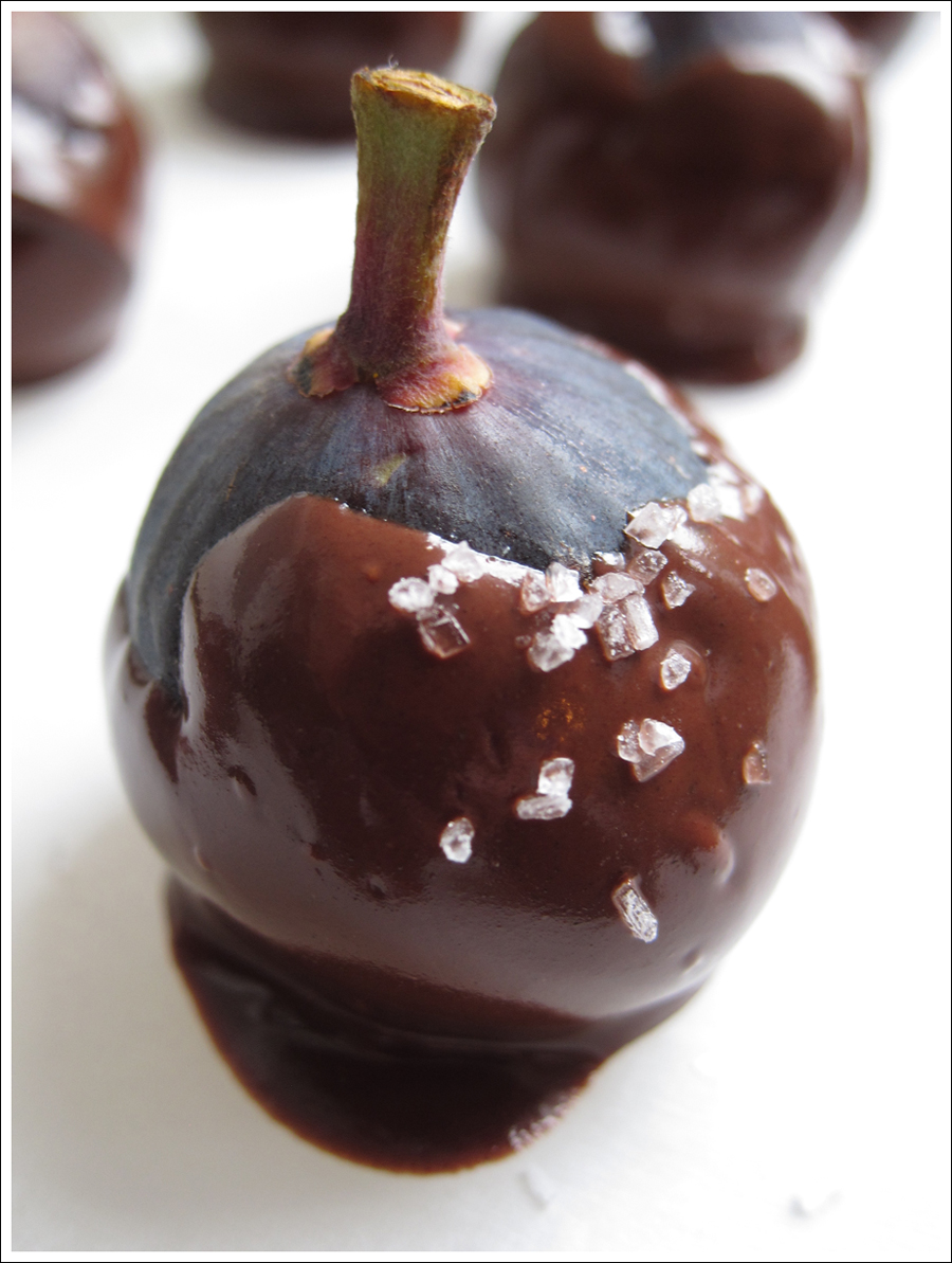 chocolate covered fig