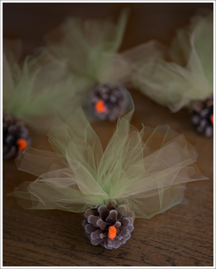 Blog DIY Pinecone Tulle Turkey-1