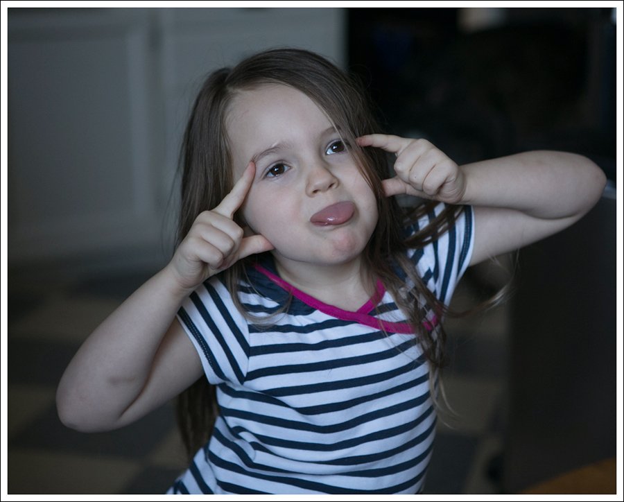 Blog DIY Pinecone Tulle Turkey-6