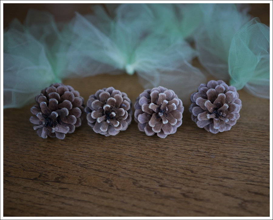 Blog DIY Pinecone Tulle Turkey-7
