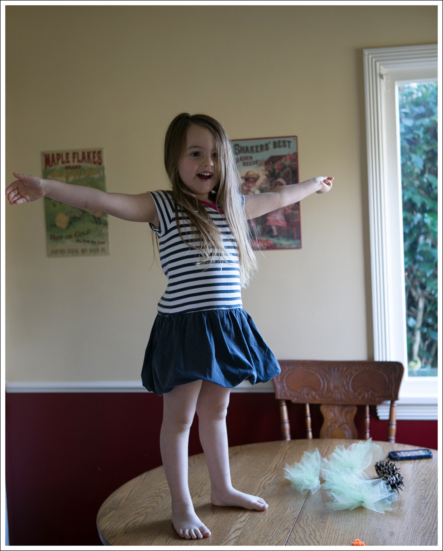 Blog DIY Pinecone Tulle Turkey-8