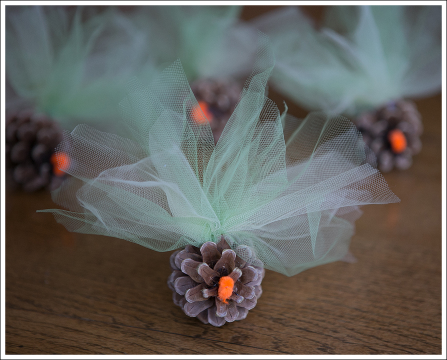 Blog DIY Pinecone Tulle Turkey-9