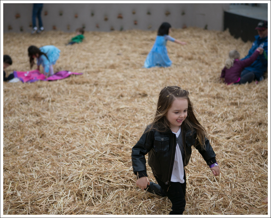 Blog Remlinger Farm Take 2-10