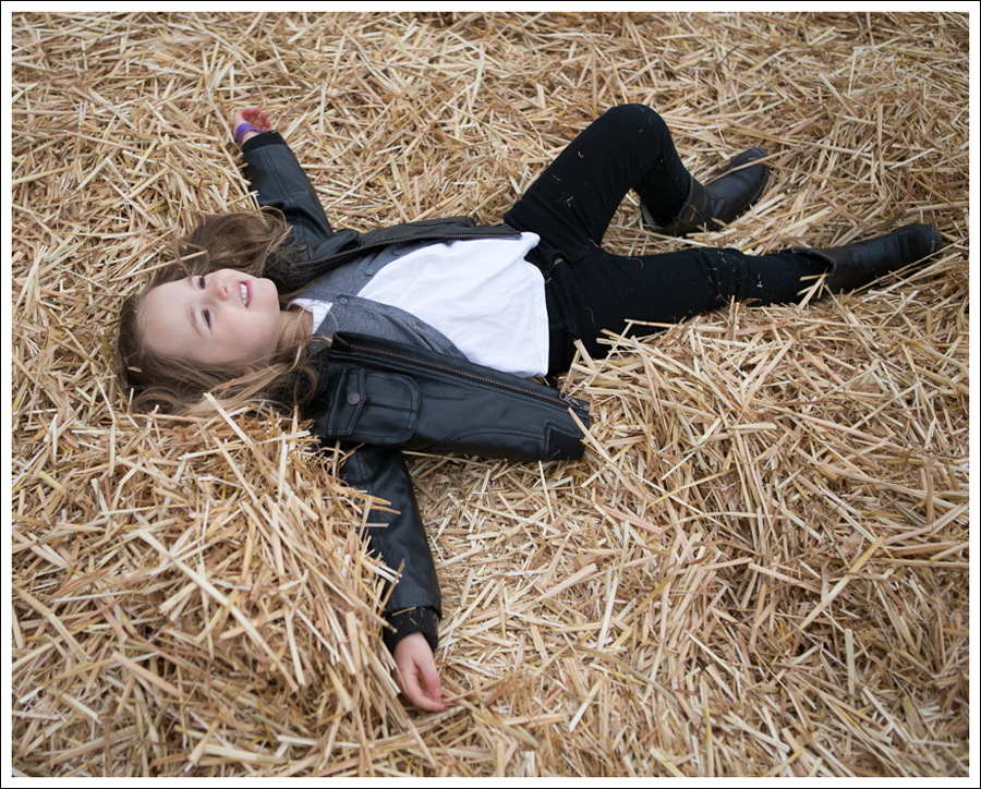 Blog Remlinger Farm Take 2-11