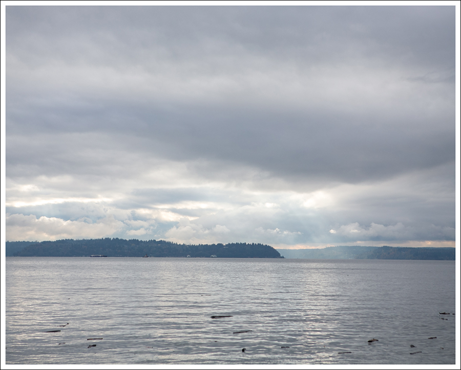 Blog West Seattle View-1