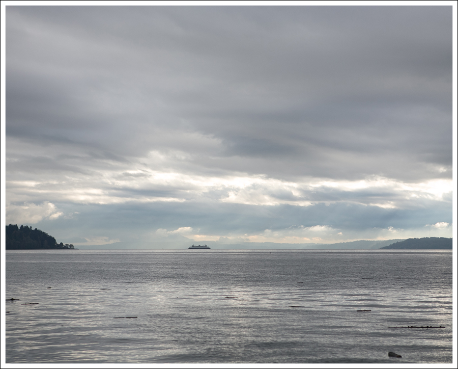 Blog West Seattle View-3