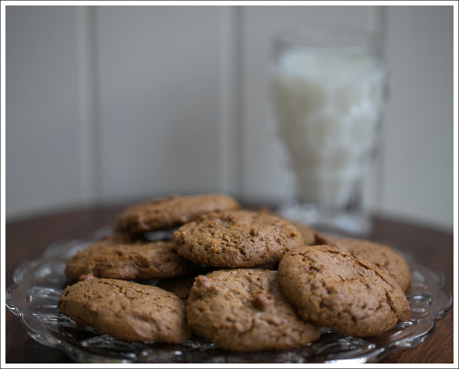Blog Paleo Nut Free Ginger Snap Cookies-1