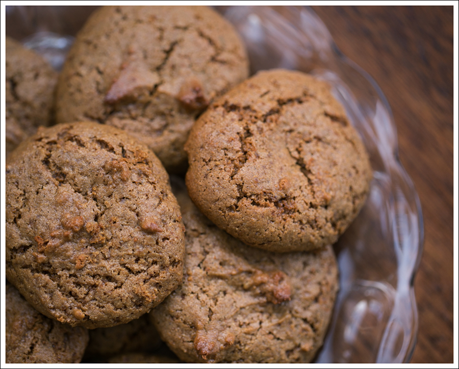 Blog Paleo Nut Free Ginger Snap Cookies-2