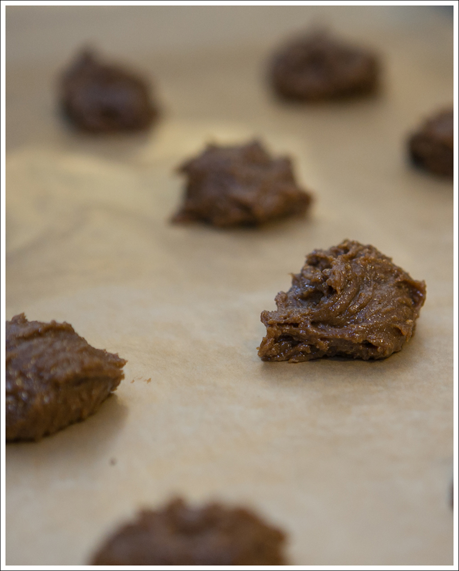 Blog Paleo Nut Free Ginger Snap Cookies-3