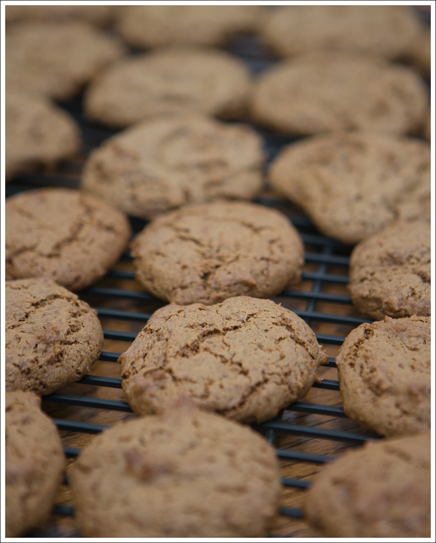 Blog Paleo Nut Free Ginger Snap Cookies-4