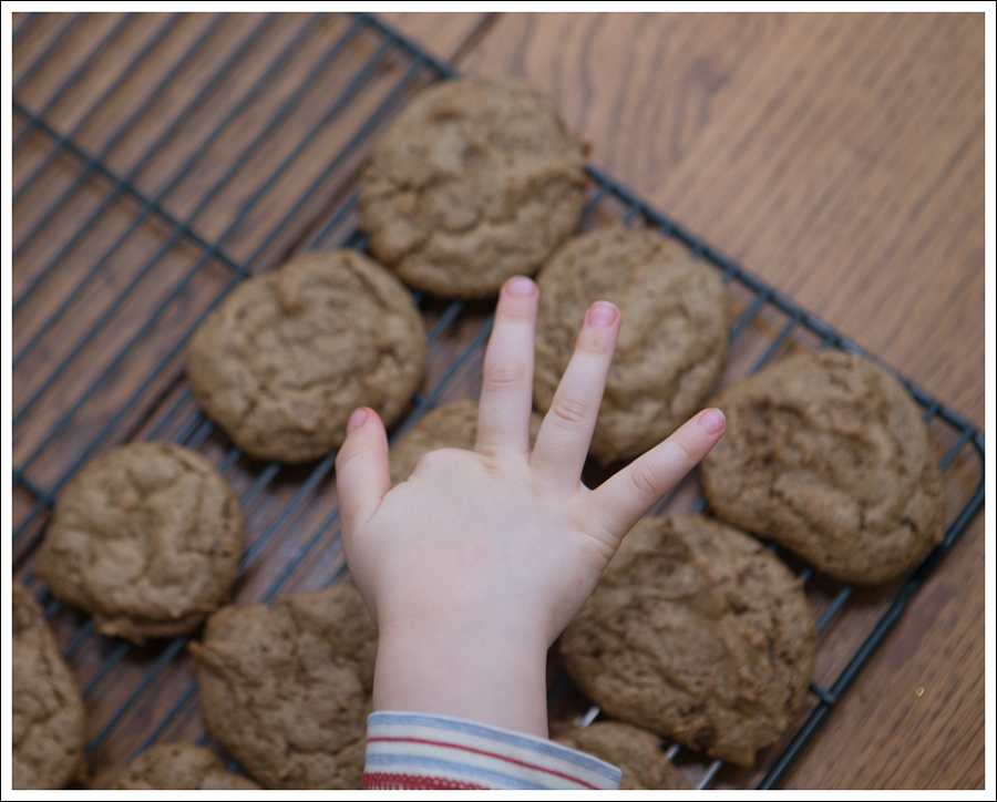 Blog Paleo Nut Free Ginger Snap Cookies-5