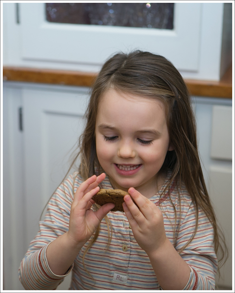 Blog Paleo Nut Free Ginger Snap Cookies-6