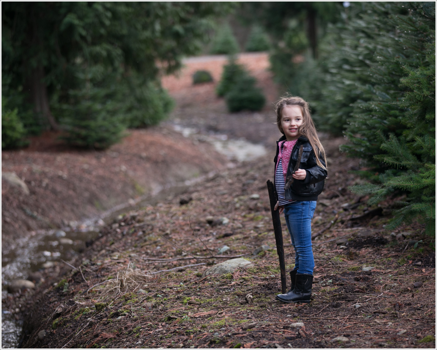 Blog Trinity Tree Farm-5