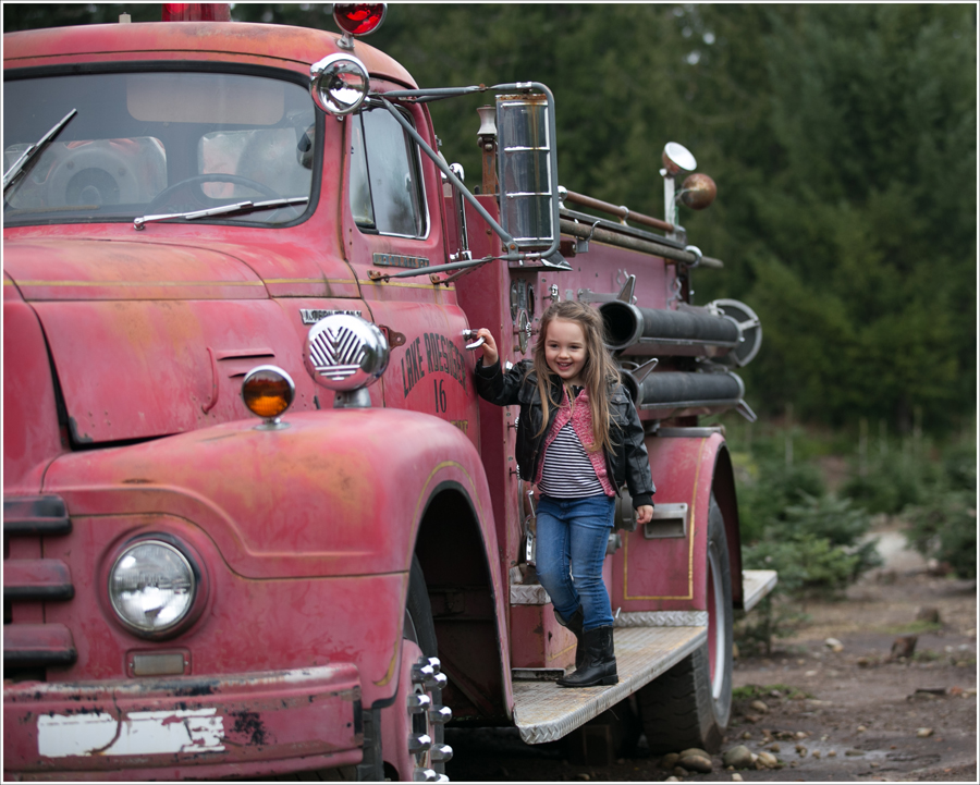 Blog Trinity Tree Farm-7