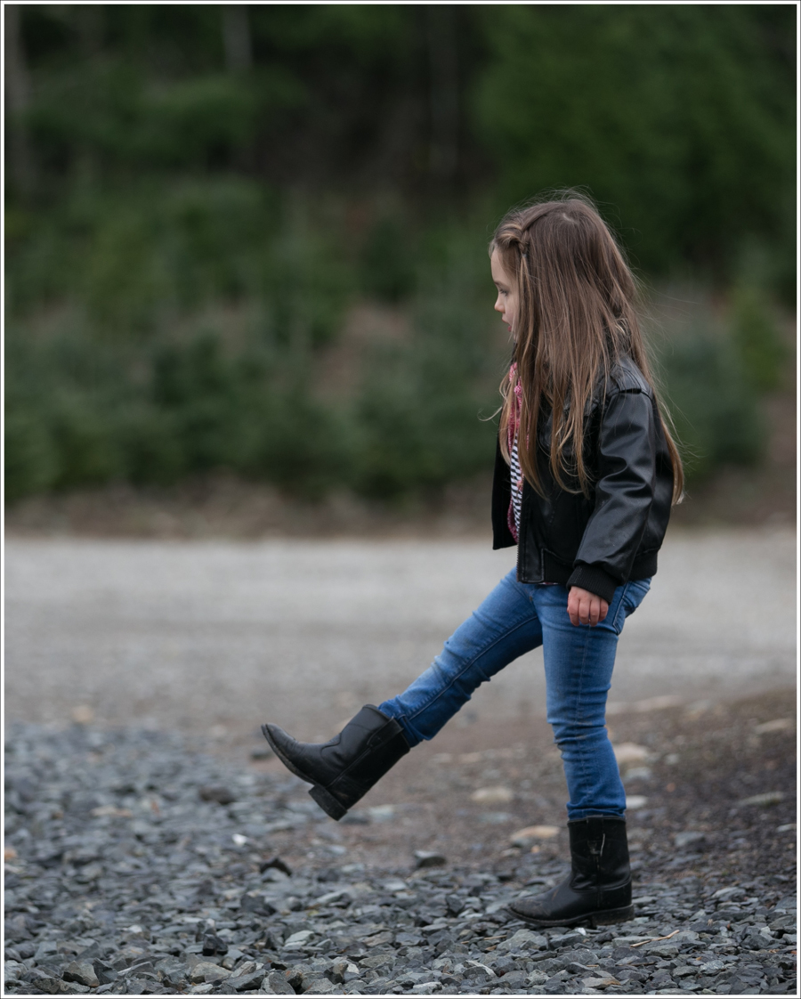 Blog Trinity Tree Farm-8