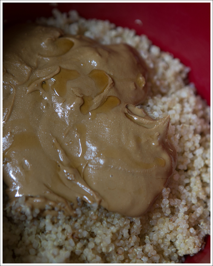 Blog Quinoa Sun Butter Hemp Seed Protein Balls-3