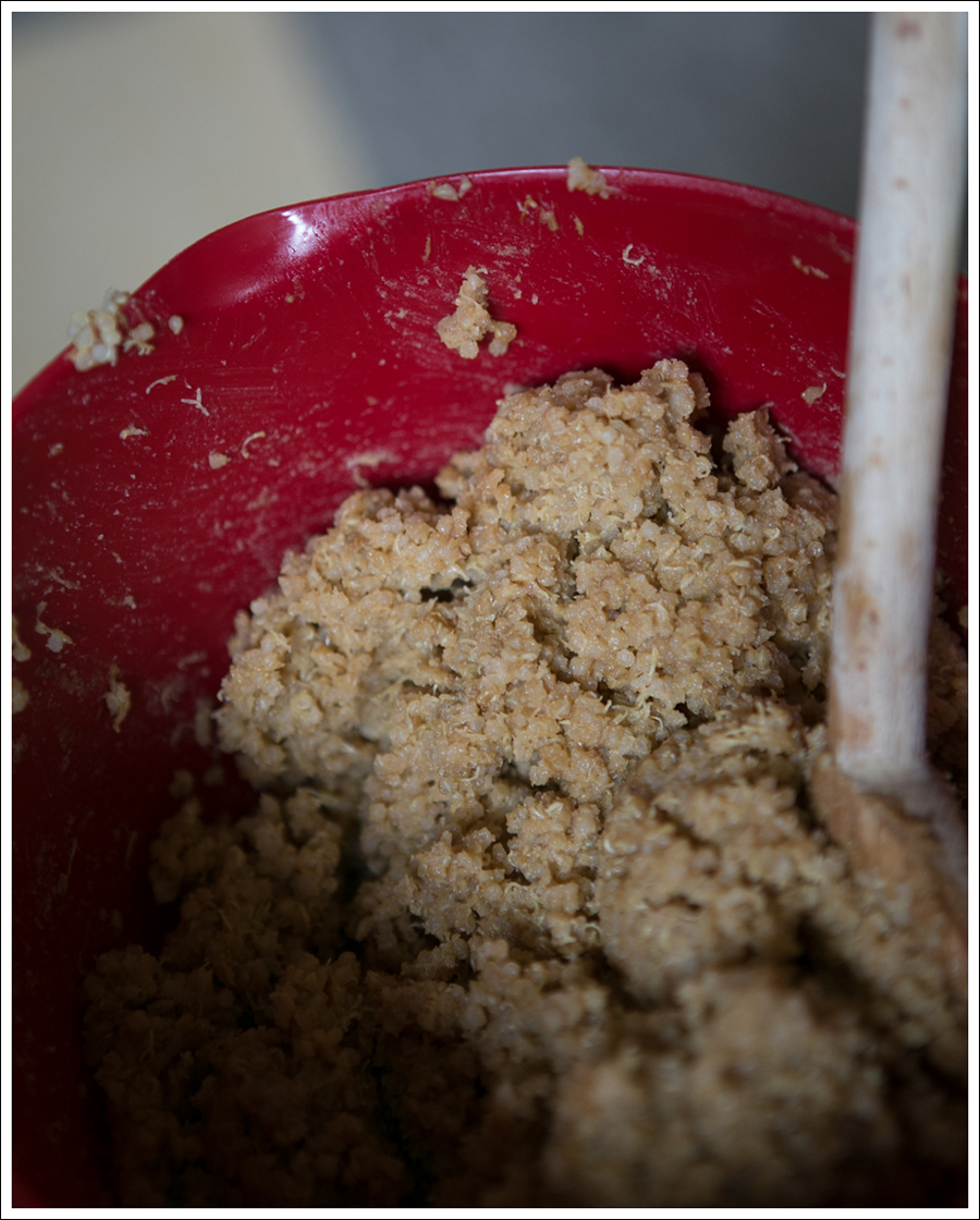 Blog Quinoa Sun Butter Hemp Seed Protein Balls-6