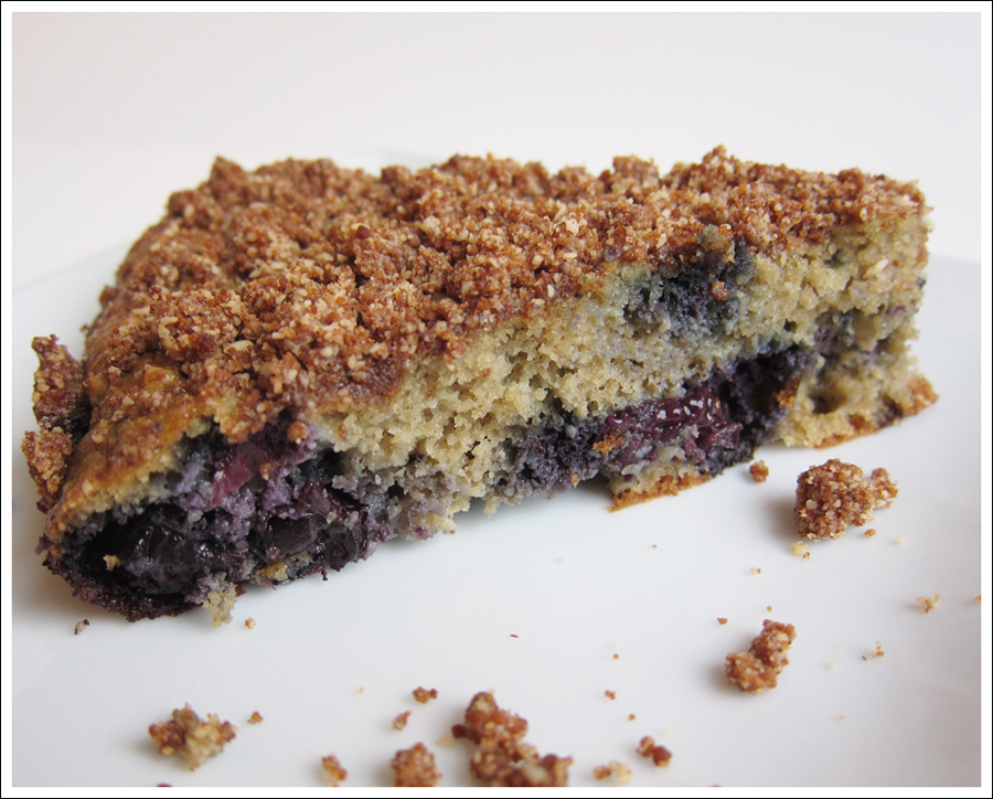blueberry almond flour paleo cake blog (2)