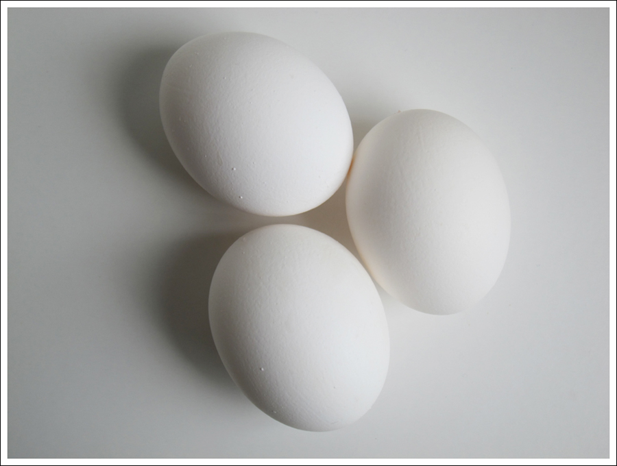 making an easter egg tree blog (2)