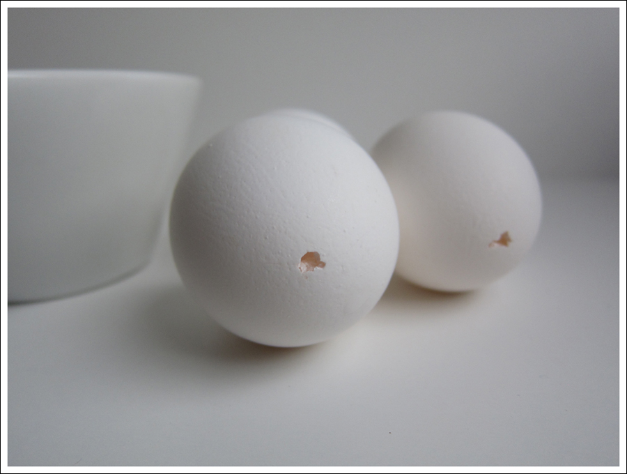 making an easter egg tree blog (4)