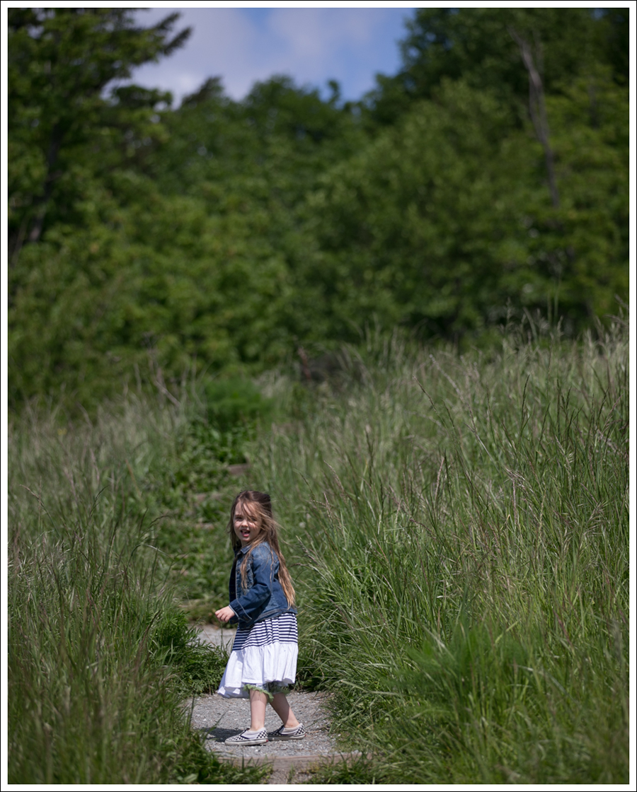 Blog Gapkids Denim Jacket Vintage Havanna Dress Checkered Vans-8