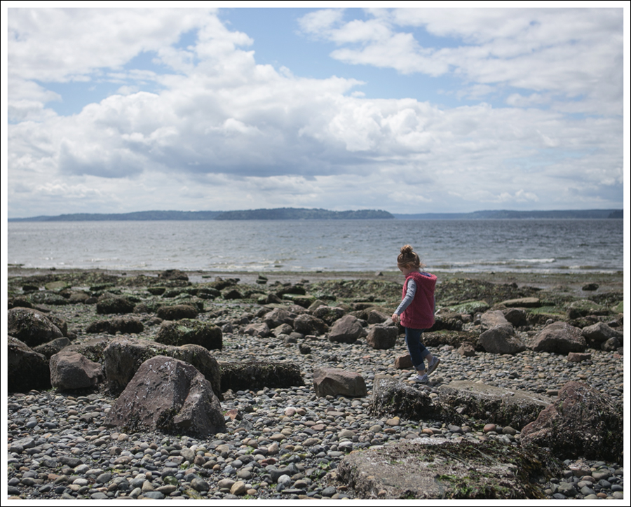 Blog West Seattle Constellation Park Low Tide-6