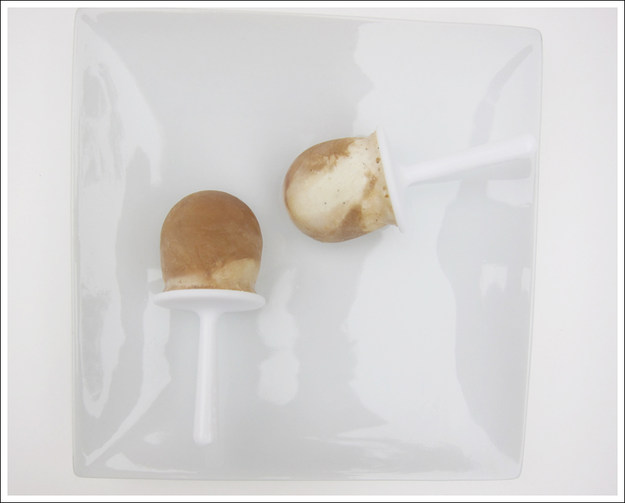 vanilla coffee popsicles blog (1)