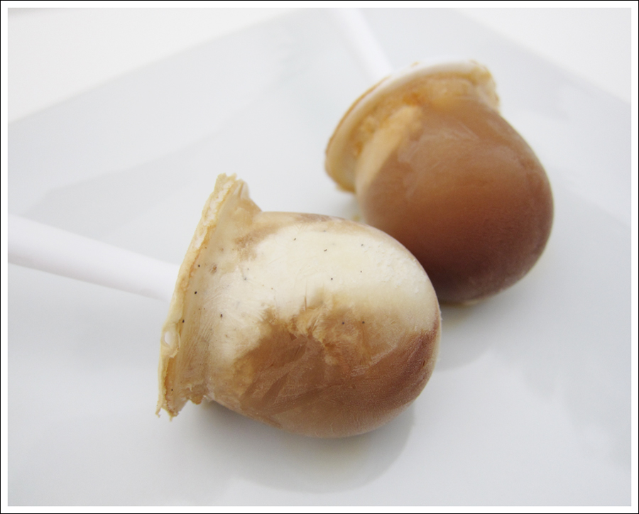 vanilla coffee popsicles blog (2)