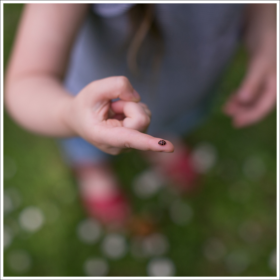 Blog Ella Moss Pleat Back Top Paige Denim Indio Zip Licorice Silver Havaianas-8