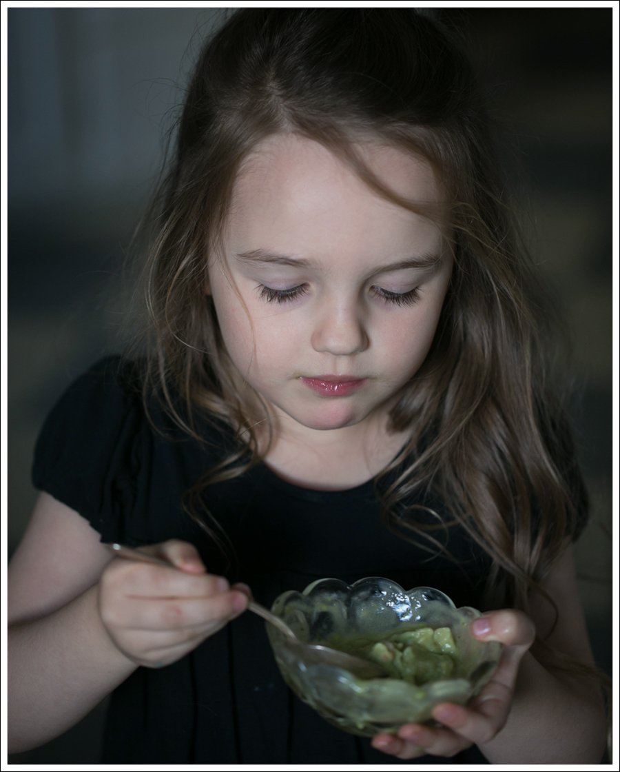 Blog Healty Mint Chocolate Chip NiceCream-6