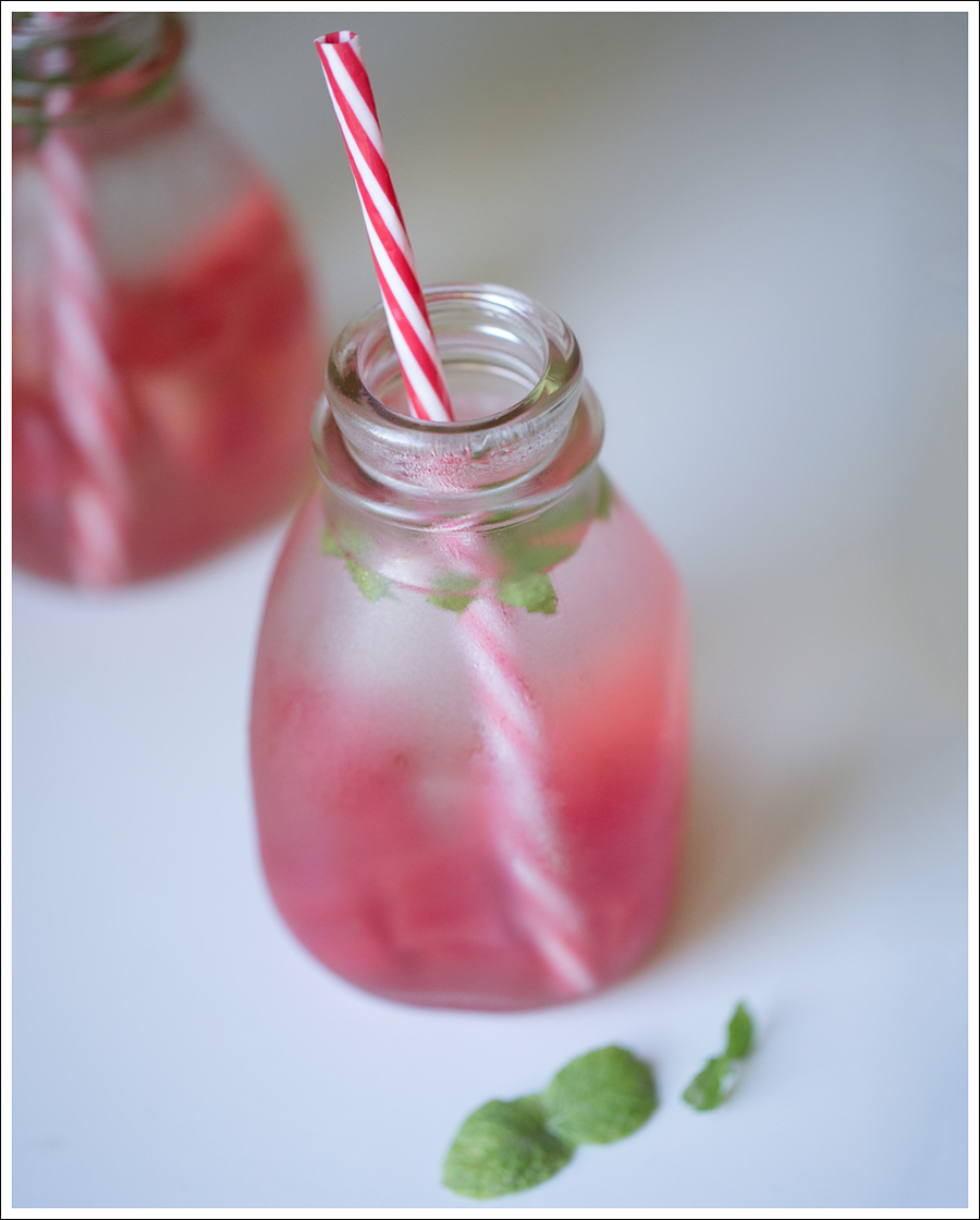 Blog Watermelon Mint Infused Water-1