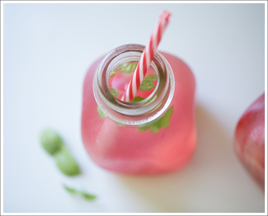 Blog Watermelon Mint Infused Water-2
