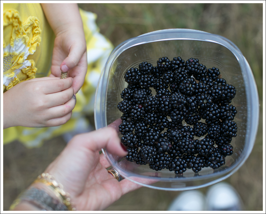 Blog Mignon Yellow Flower Dress White Converse-6