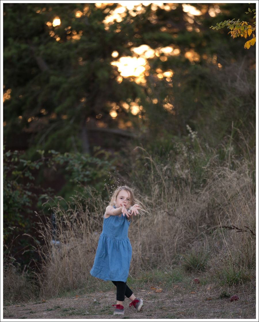 blog-gapkids-chambray-dress-gray-checkered-vans-1