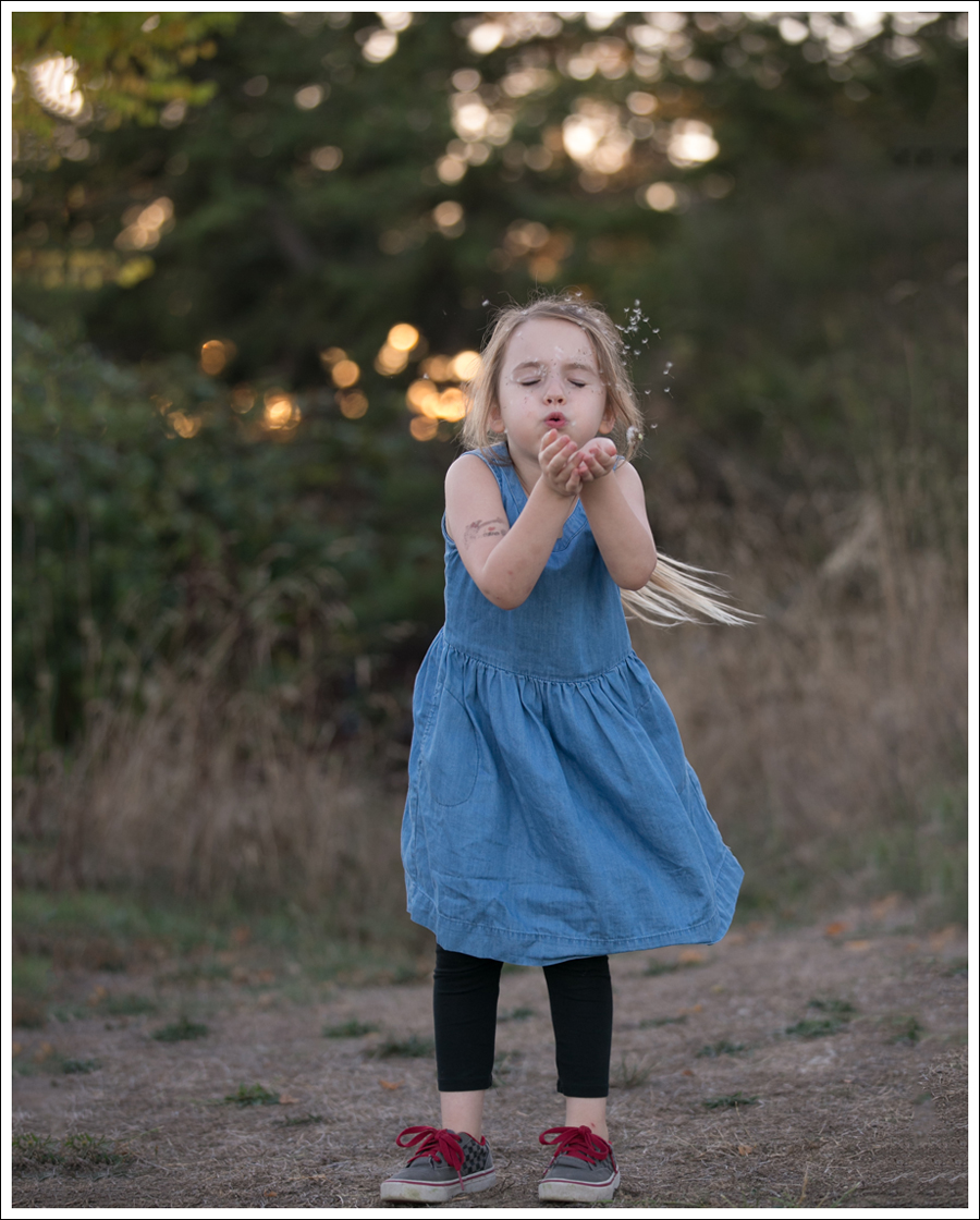 blog-gapkids-chambray-dress-gray-checkered-vans-2