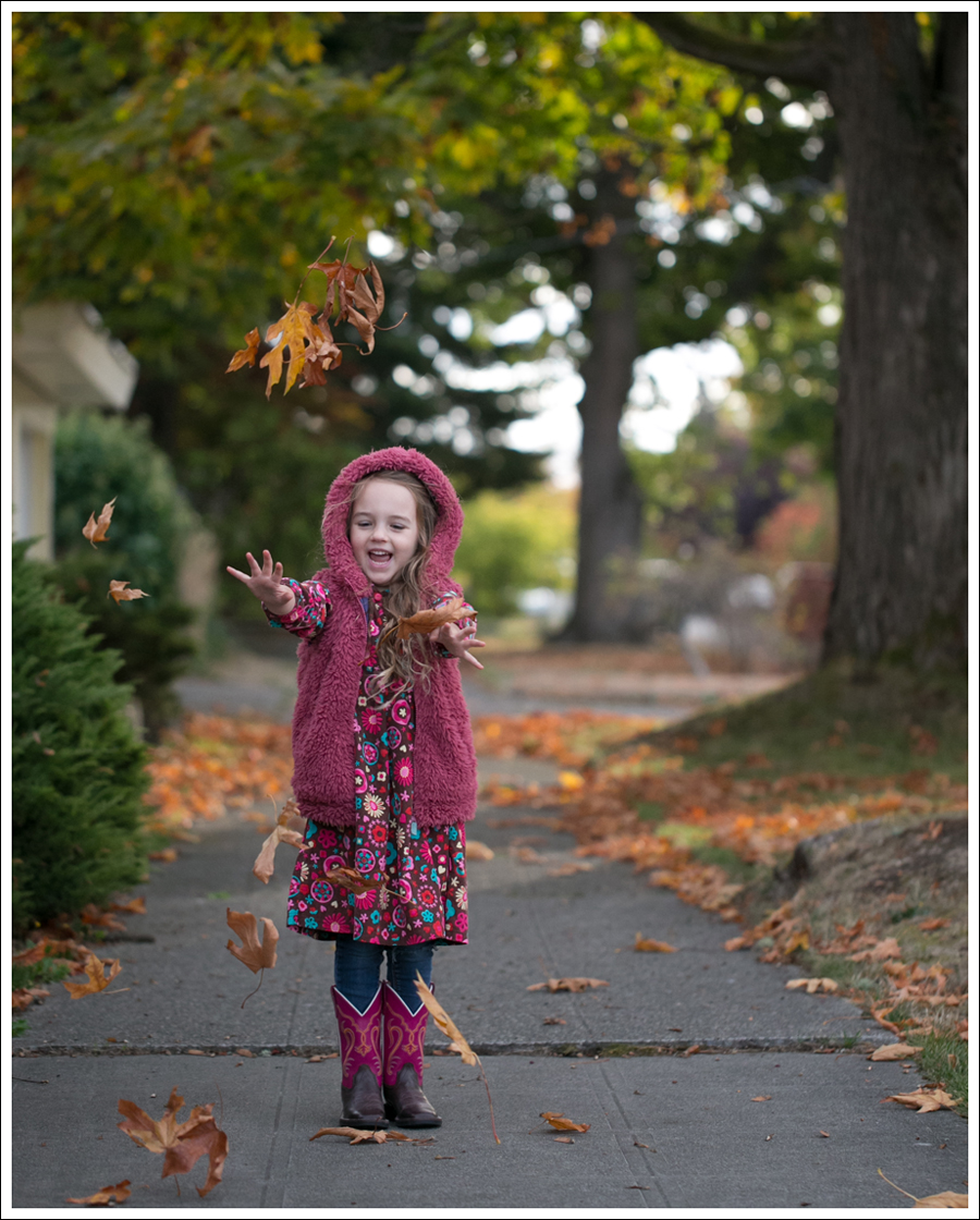 blog-mini-boden-furry-vest-le-top-cute-cookie-dress-old-west-square-toe-cowboy-boots-1