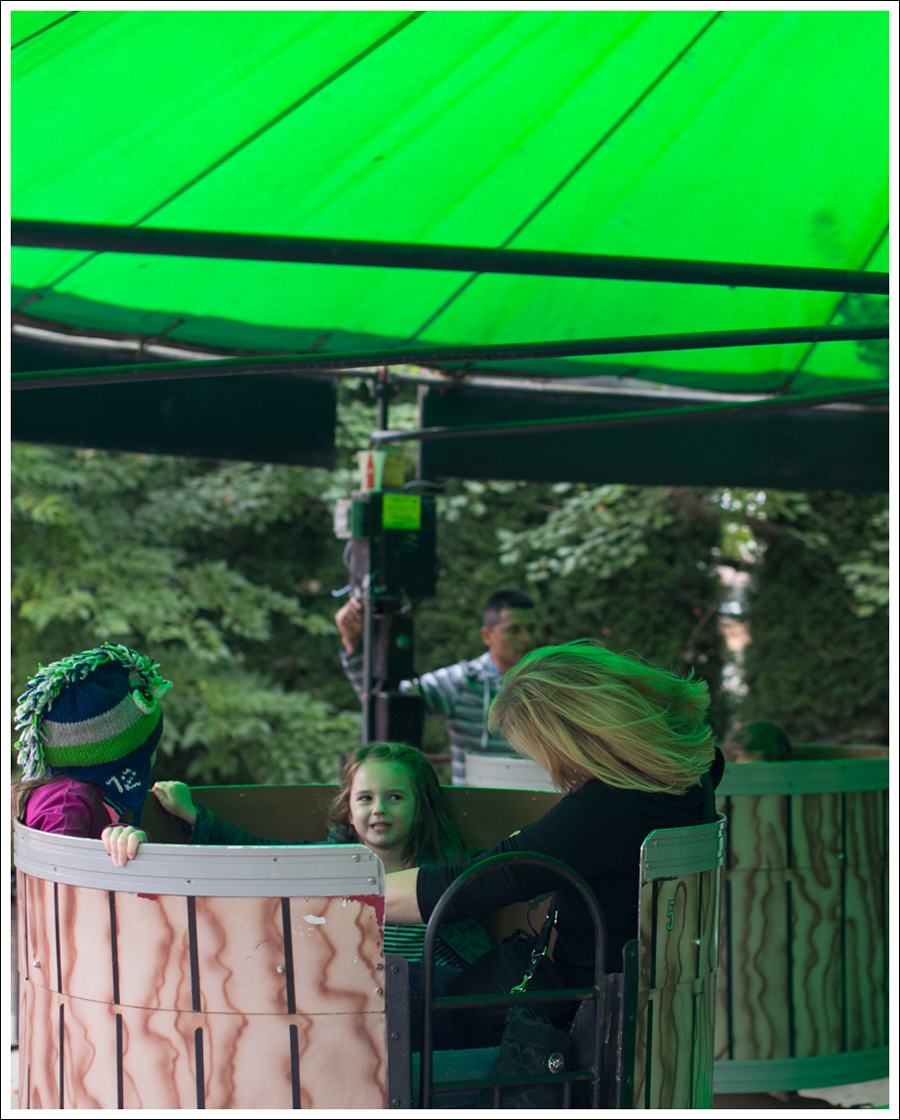 blog-remlinger-farms-mayas-5th-birthday-10