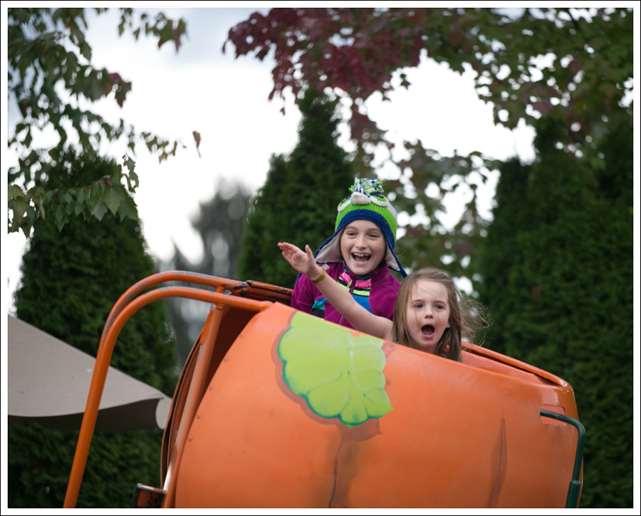 blog-remlinger-farms-mayas-5th-birthday-14