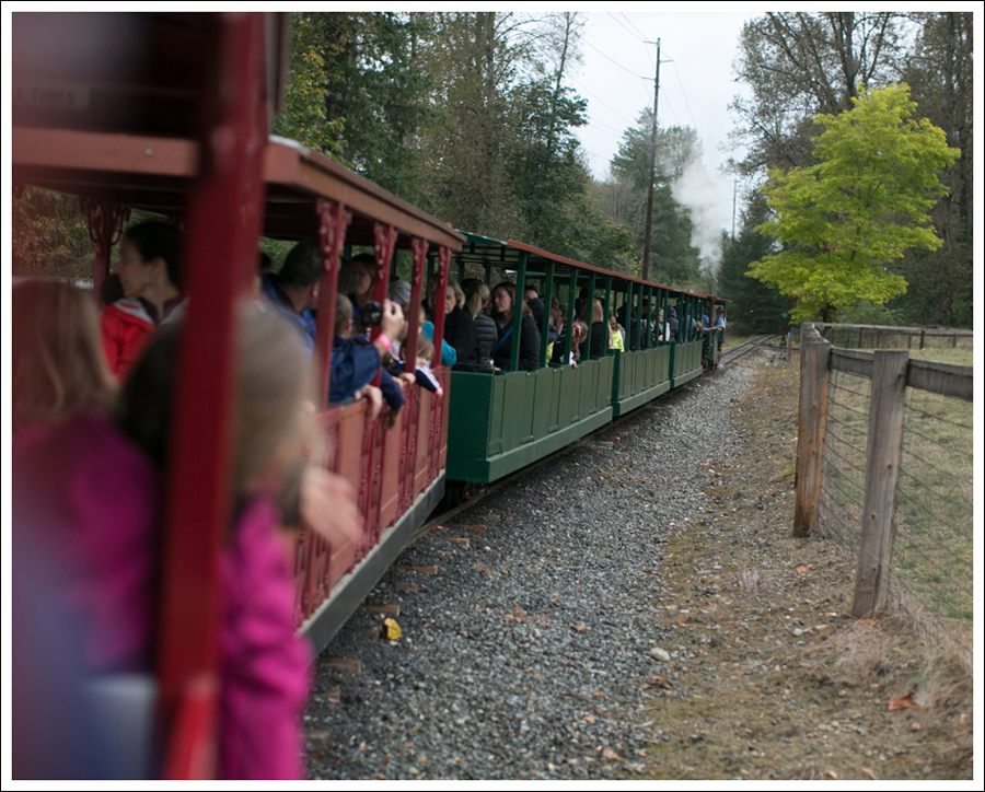 blog-remlinger-farms-mayas-5th-birthday-20