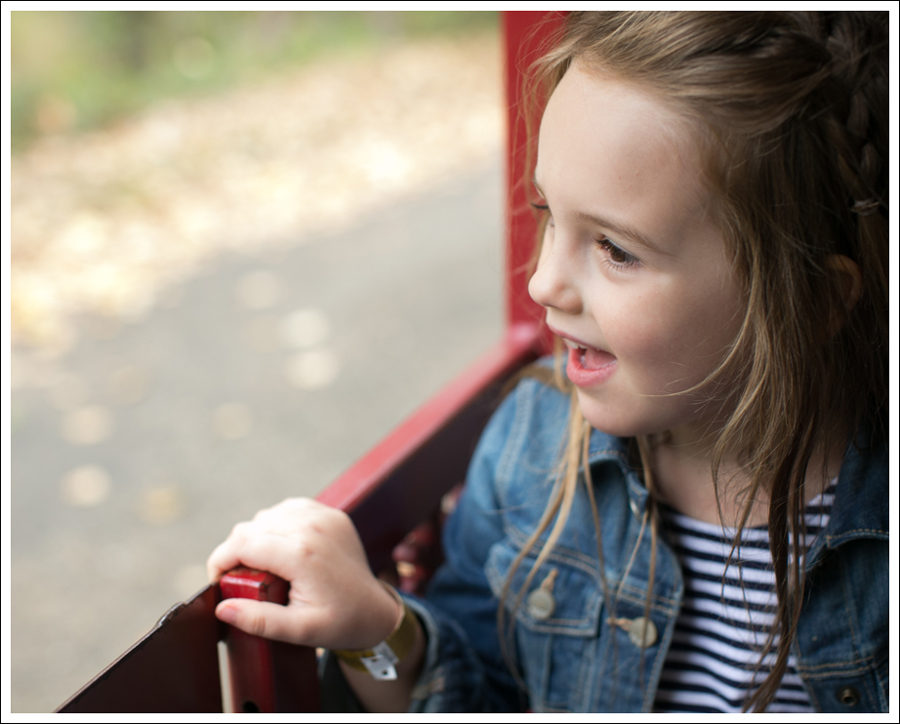 blog-remlinger-farms-mayas-5th-birthday-21