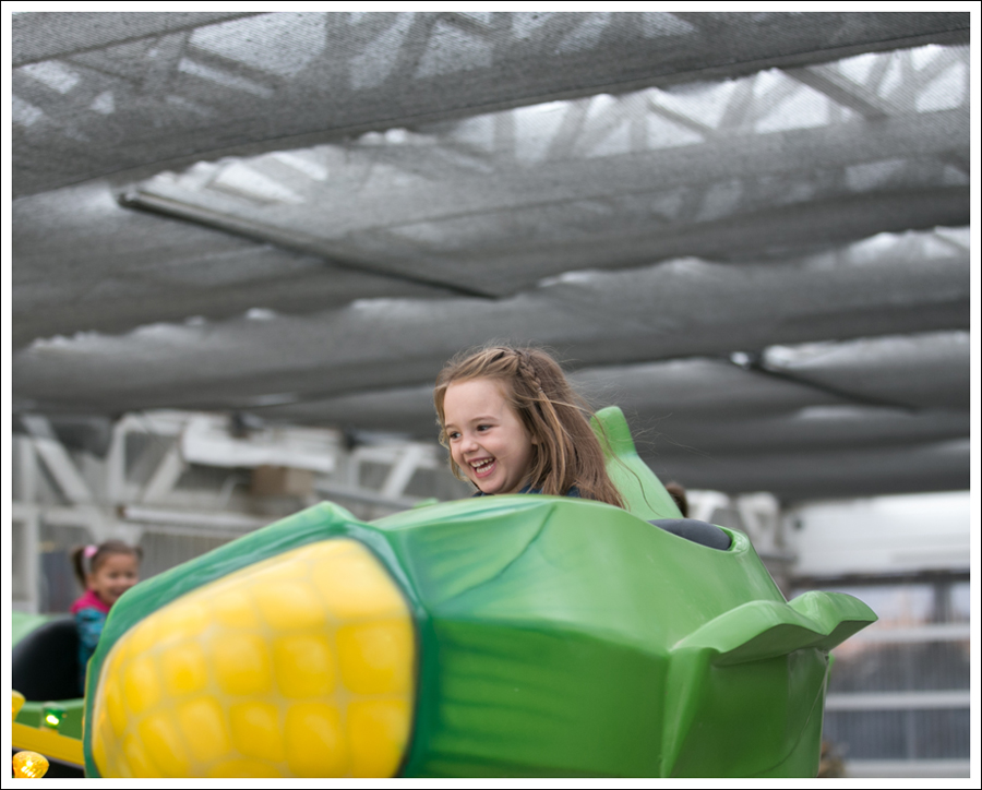 blog-remlinger-farms-mayas-5th-birthday-4